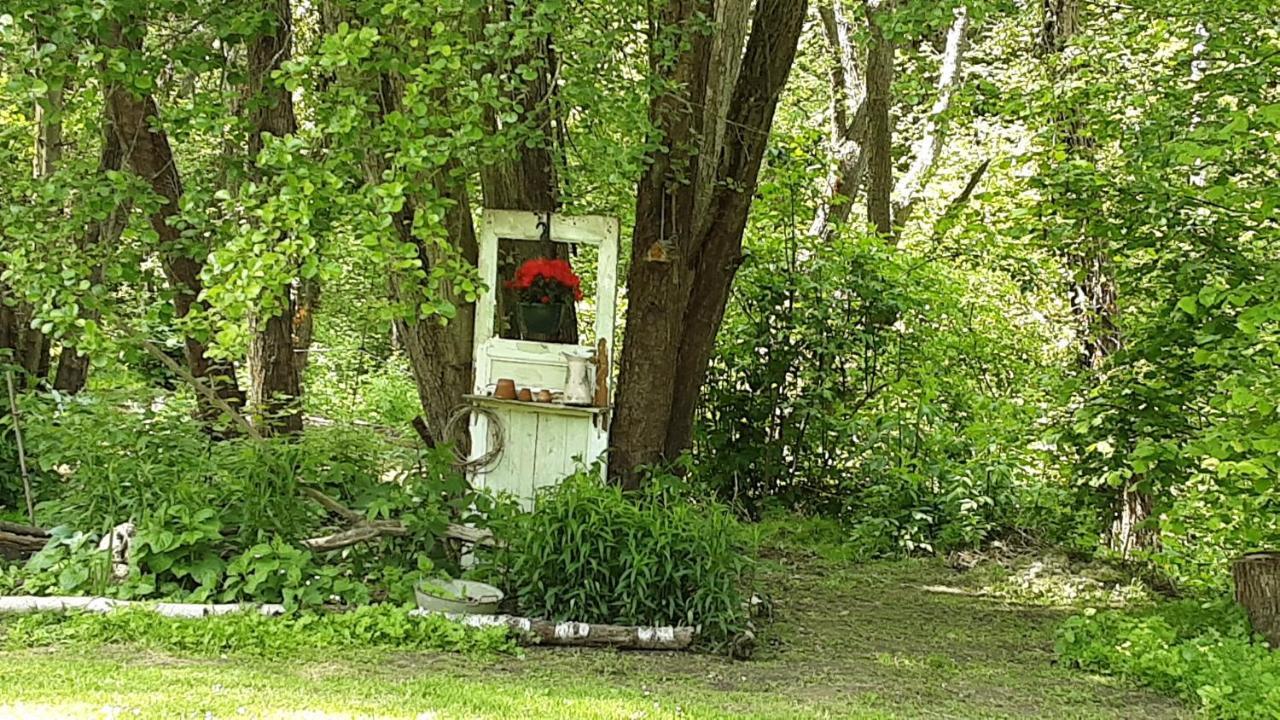 Le Clos Du Buisson Saint-Julien-de-la-Liegue Dış mekan fotoğraf